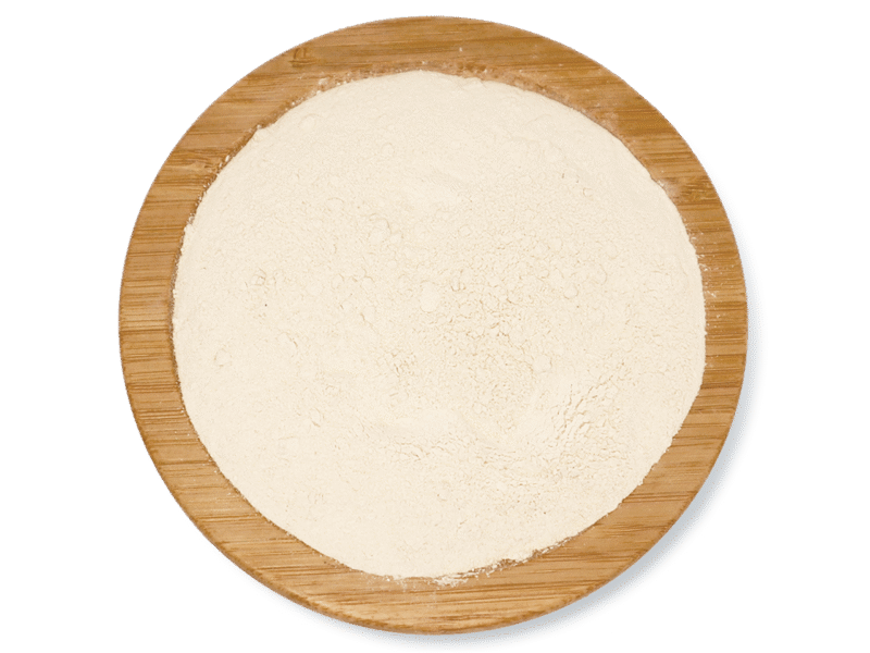 GARLIC DEHYDRATED POWDER