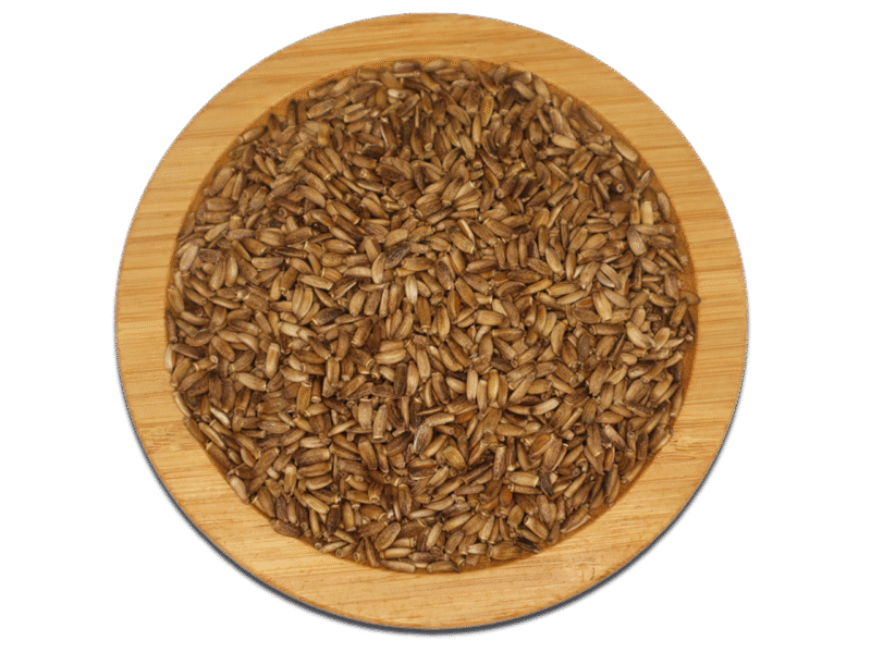 THISTLE SEEDS DRIED