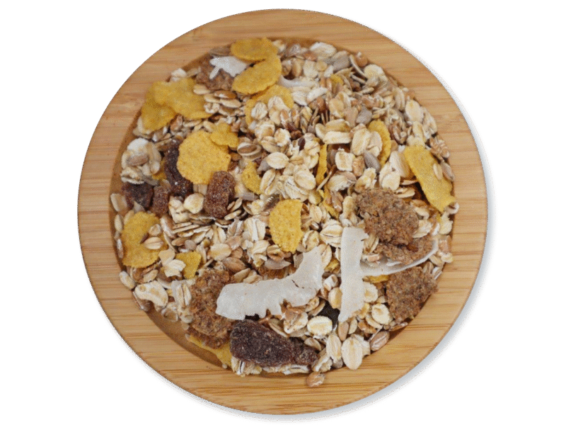 CEREAL MUESLI WITH FRUITS