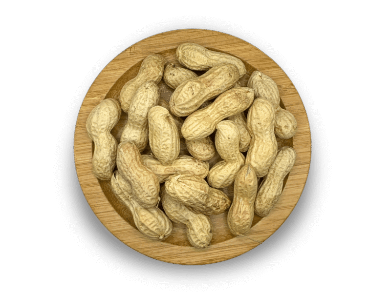 GROUNDNUT PEANUT INSHELL RAW  9/11