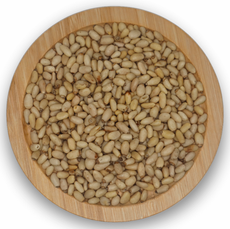 PINENUT KERNELS 980