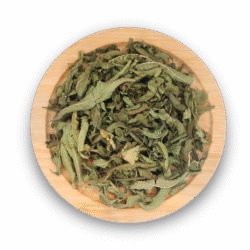 VERBENA LEAVES DRIED