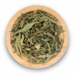 VERBENA LEAVES DRIED